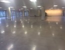 polished concrete11