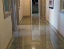 stained and polished concrete